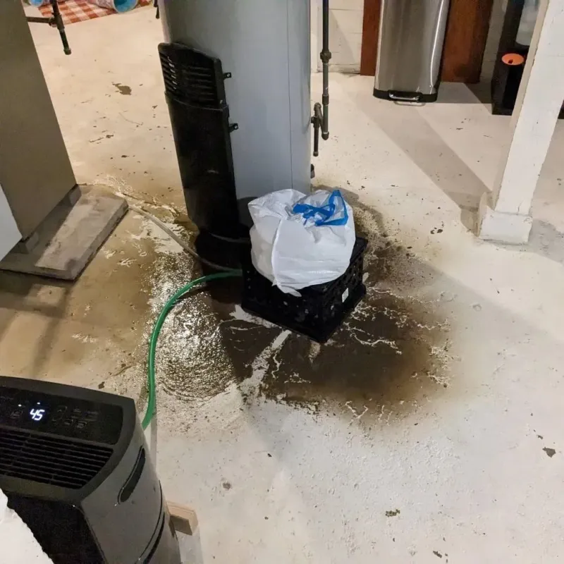 Sewage Backup Cleanup Service in Verona, MS